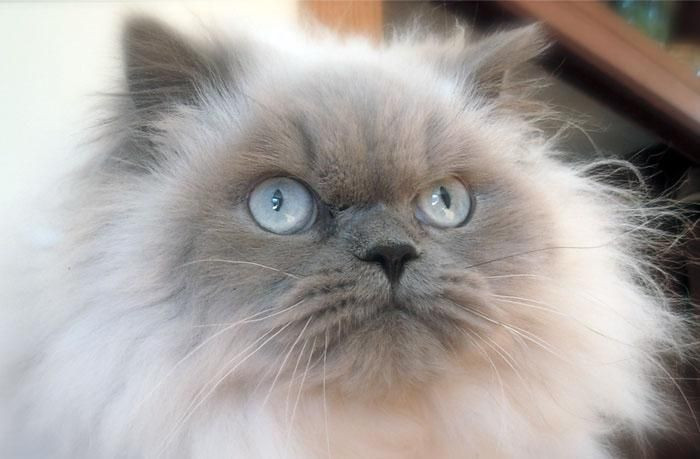 Onları bir de banyodan sonra görün! - Sayfa 9