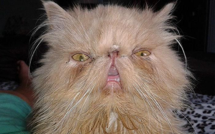 Onları bir de banyodan sonra görün! - Sayfa 15