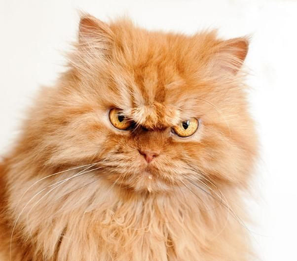 Onları bir de banyodan sonra görün! - Sayfa 19