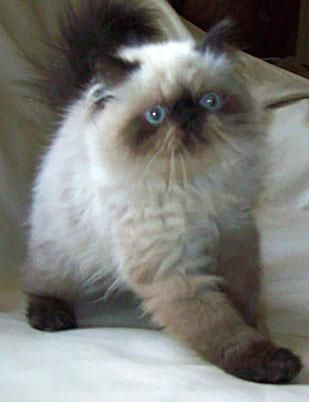 Onları bir de banyodan sonra görün! - Sayfa 21