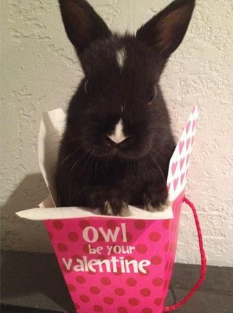 Onları bir de banyodan sonra görün! - Sayfa 23