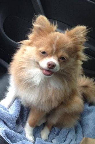 Onları bir de banyodan sonra görün! - Sayfa 29