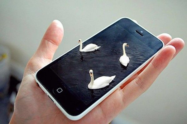 Gerçeklik algınızla oynayacak fotoğraflar! - Sayfa 10