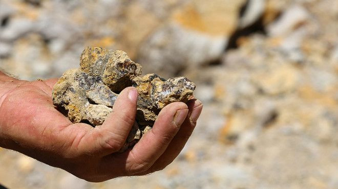 Yıllardır çıra diye yaktılar! Gerçek bambaşkaydı - Sayfa 9