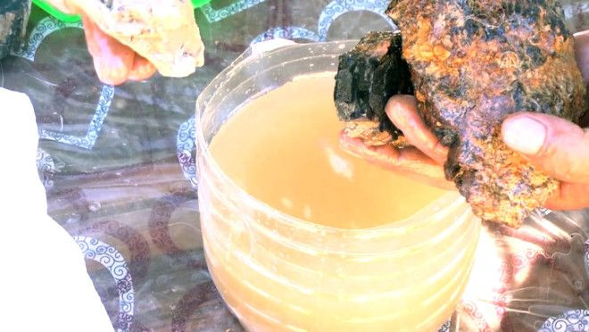 Yıllardır çıra diye yaktılar! Gerçek bambaşkaydı - Sayfa 7