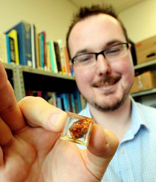 Kehribar içinde 99 milyon yıllık kuş bulundu! - Sayfa 6