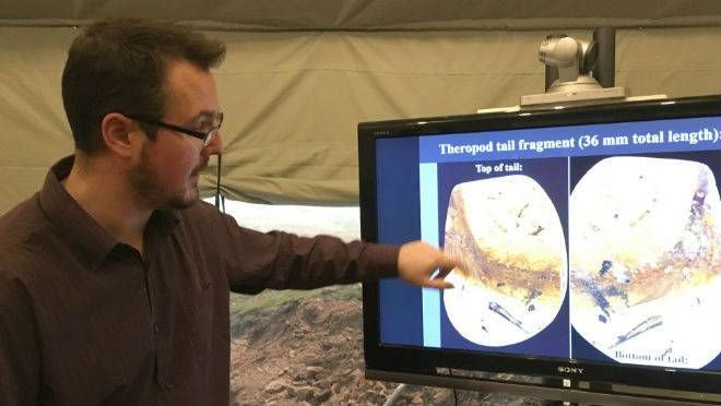 Kehribar içinde 99 milyon yıllık kuş bulundu! - Sayfa 7