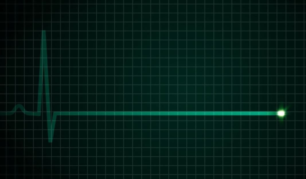 'O' öleceğimizi çok önceden biliyor! - Sayfa 16