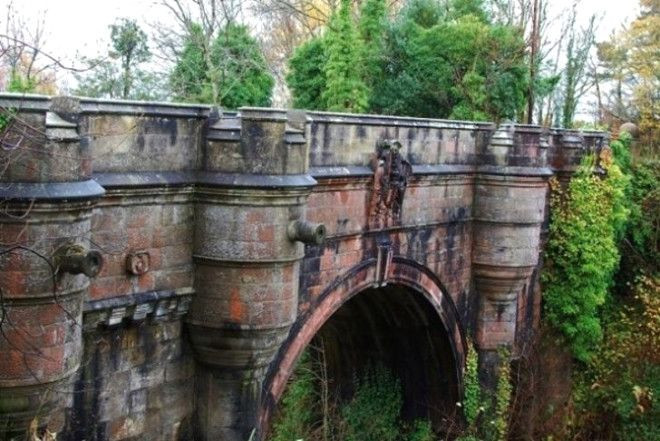 Yüzlerce köpeğin atladığı gizemli 'İntihar Köprüsü' - Sayfa 11