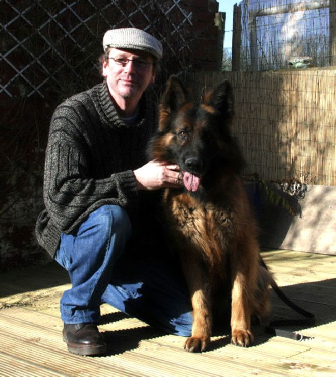 Yüzlerce köpeğin atladığı gizemli 'İntihar Köprüsü' - Sayfa 12