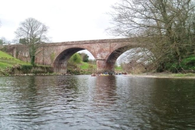 Yüzlerce köpeğin atladığı gizemli 'İntihar Köprüsü' - Sayfa 8