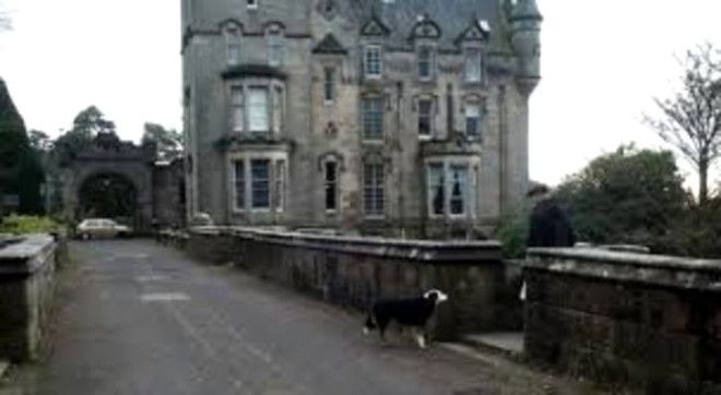 Yüzlerce köpeğin atladığı gizemli 'İntihar Köprüsü' - Sayfa 14