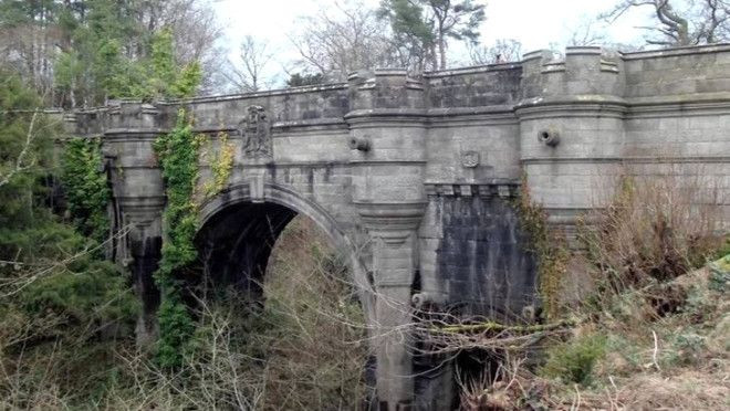 Yüzlerce köpeğin atladığı gizemli 'İntihar Köprüsü' - Sayfa 13