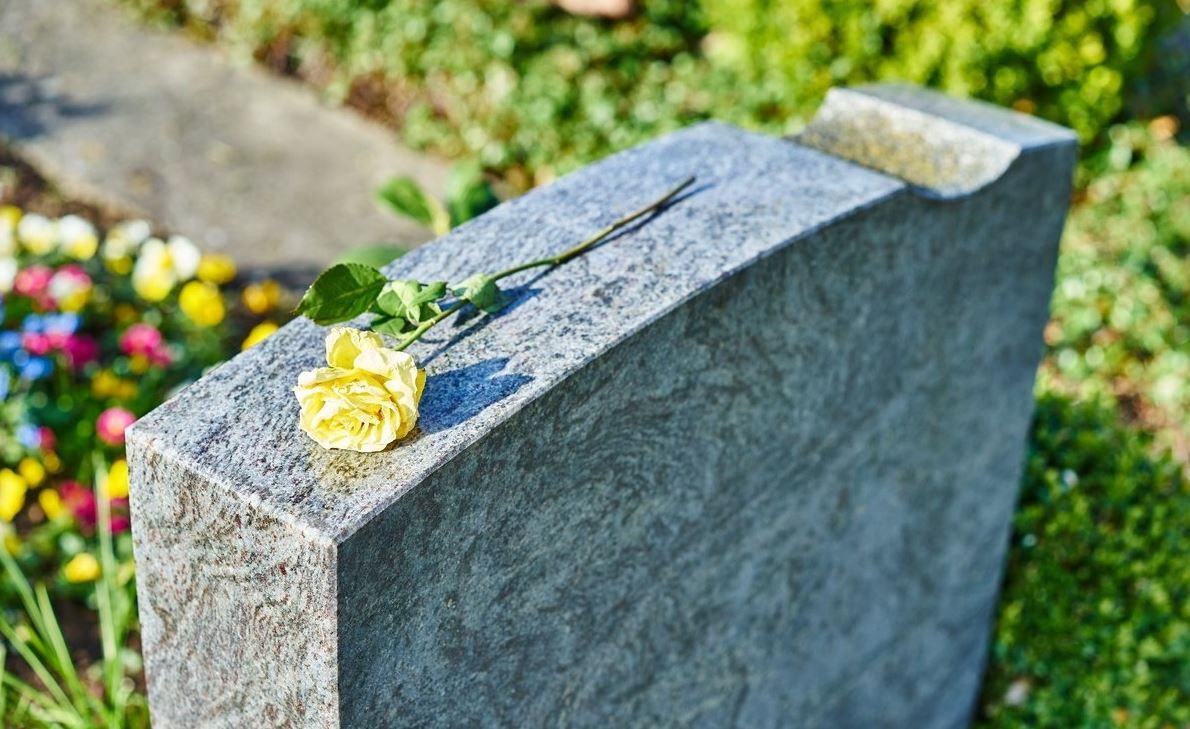 'O' öleceğimizi çok önceden biliyor! - Sayfa 23