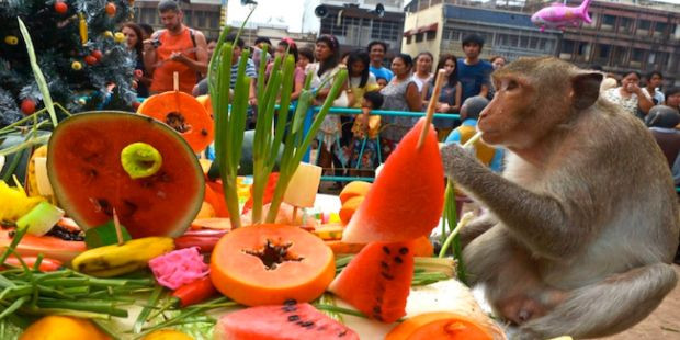 Ruhunu arındırmak isteyen herkes birbirini dövüyor! - Sayfa 9