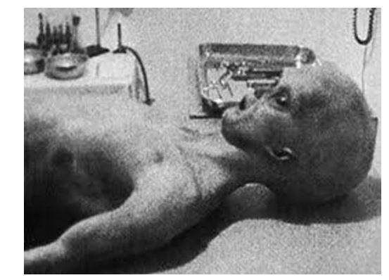 4 yaşındaki kız, '3 çocuk annesiyim' dedi! - Sayfa 9