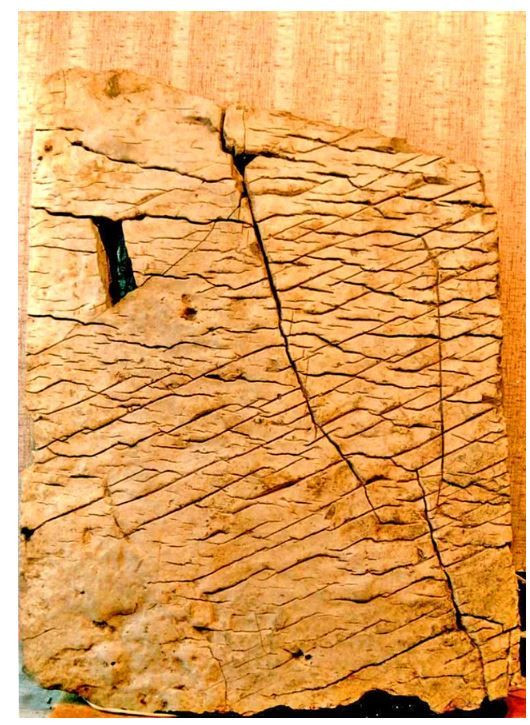 4 yaşındaki kız, '3 çocuk annesiyim' dedi! - Sayfa 8