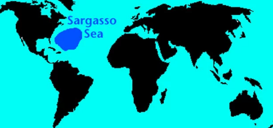 Buraya gelenler ardında bir iz bile bırakmadan kayboldu! - Sayfa 6