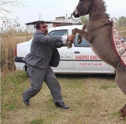 Onlar en zor durumlarda bile soğukkanlılar! - Sayfa 9