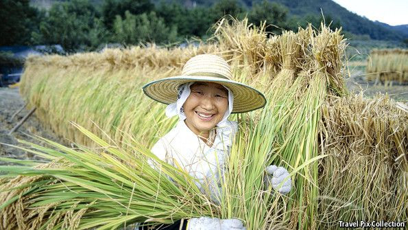 Japonların uzun yaşam sırları! - Sayfa 16