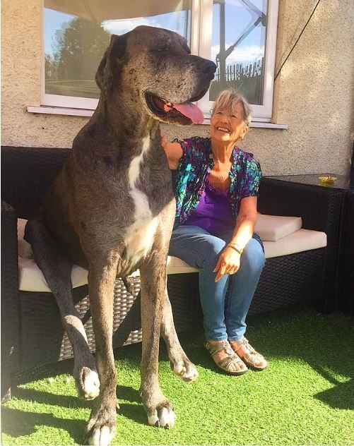 Photoshop değil! Onlar gerçek birer hayvan - Sayfa 8