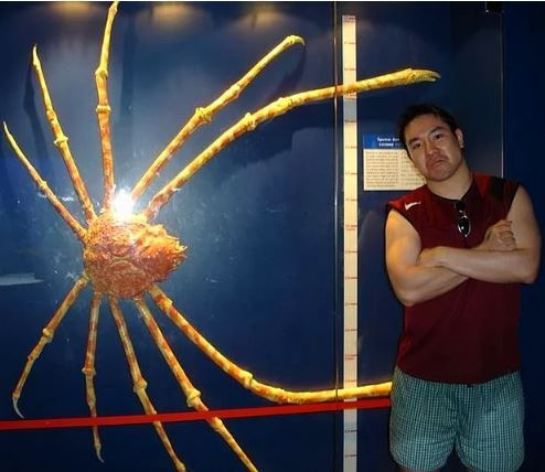 Photoshop değil! Onlar gerçek birer hayvan - Sayfa 15