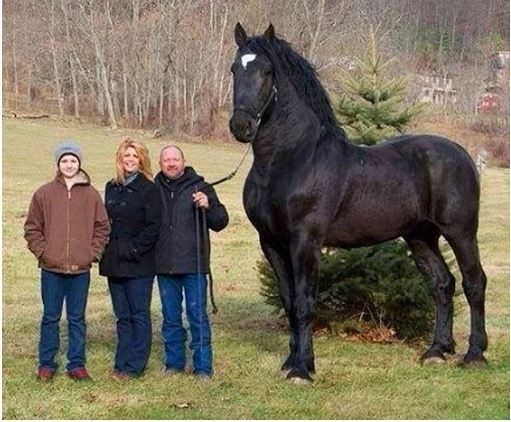 Photoshop değil! Onlar gerçek birer hayvan - Sayfa 11