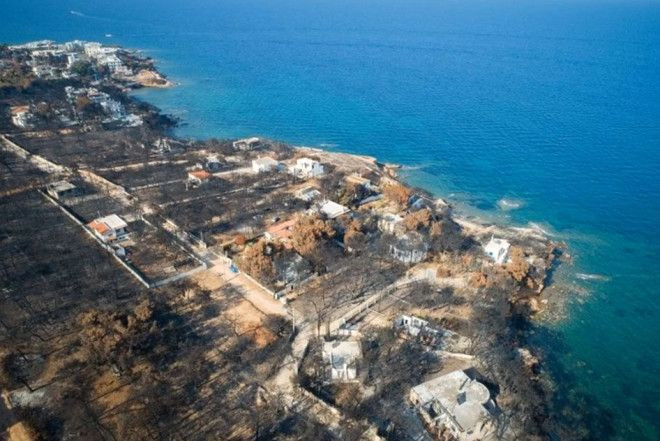 Sahil yalnızca 1 gecede bu hale geldi! - Sayfa 6