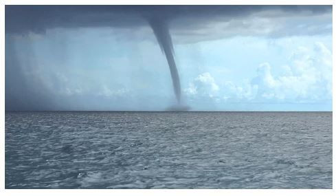 Bilim bile açıklayamıyor: Gökten yağan hayvanlar! - Sayfa 7