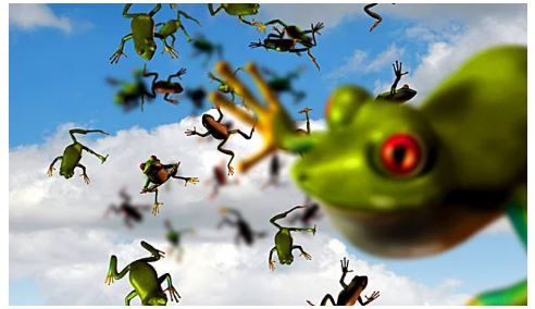 Bilim bile açıklayamıyor: Gökten yağan hayvanlar! - Sayfa 10