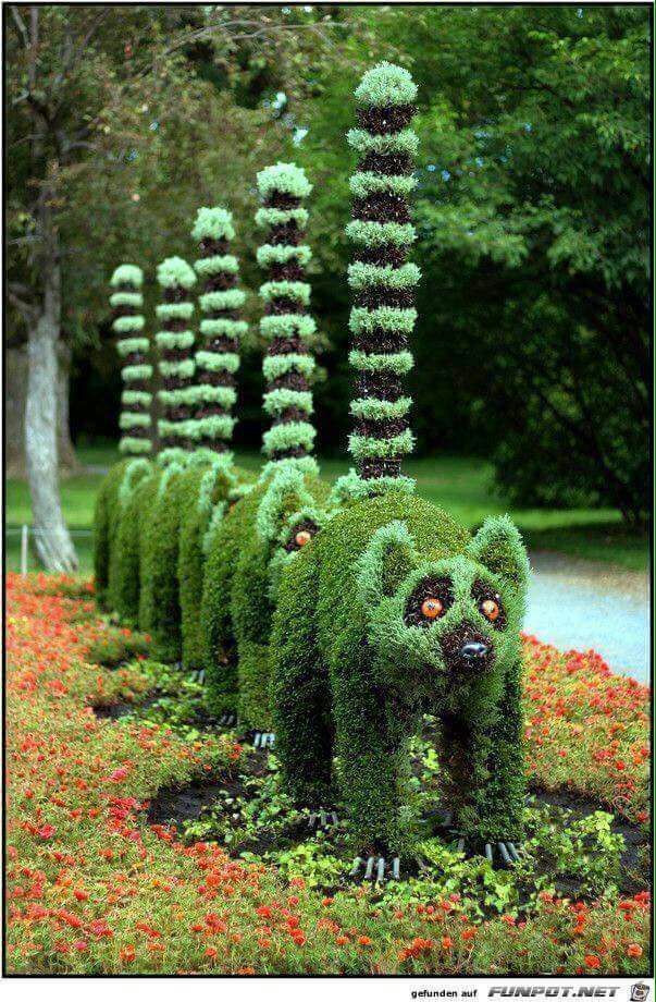 İnsanoğlu tüketiyor, tabiat direniyor! - Sayfa 11