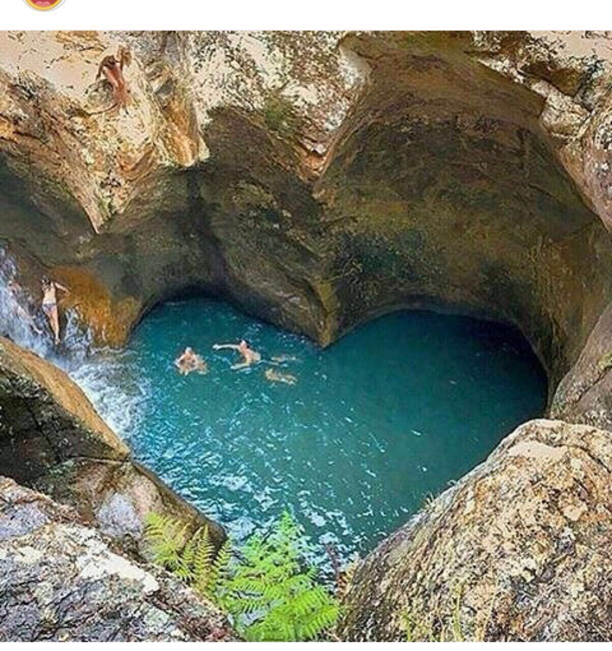 İnsanoğlu tüketiyor, tabiat direniyor! - Sayfa 20