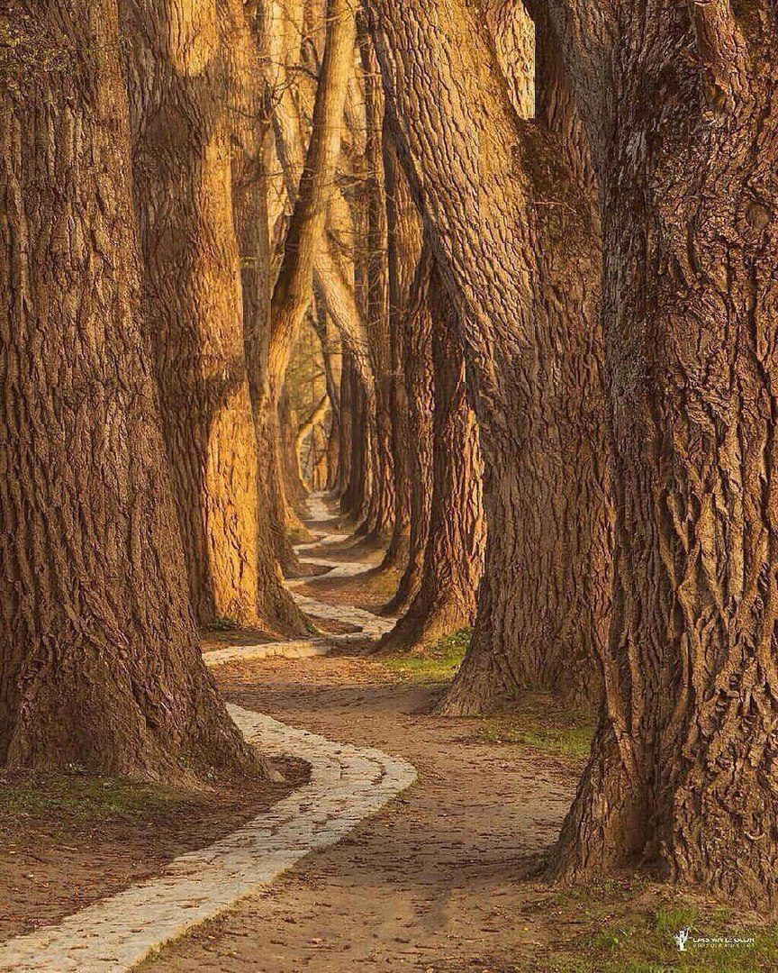 İnsanoğlu tüketiyor, tabiat direniyor! - Sayfa 5