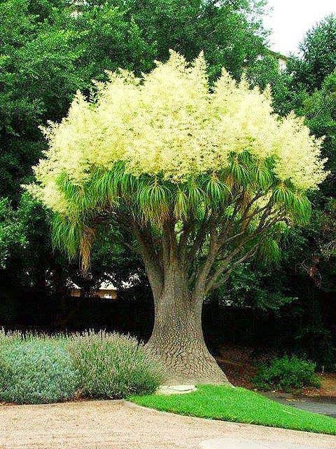 İnsanoğlu tüketiyor, tabiat direniyor! - Sayfa 7