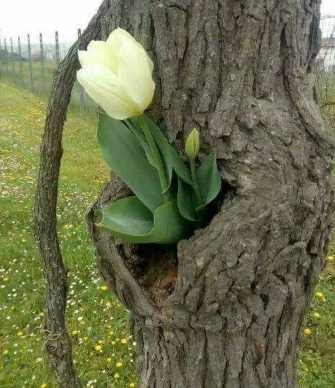 İnsanoğlu tüketiyor, tabiat direniyor! - Sayfa 8