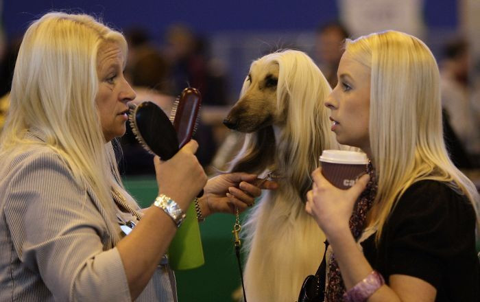 Birbirine olan benzerliğiyle şaşırtan kareler! - Sayfa 6