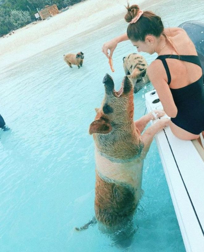 Acun'a adrenalin yaşatan o fotoğraflar! - Sayfa 15