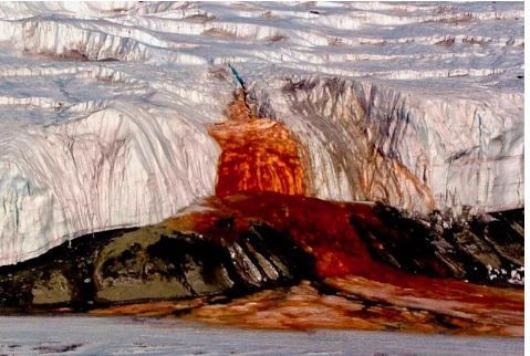 Bugün 153 bin kişi ölecek! - Sayfa 11