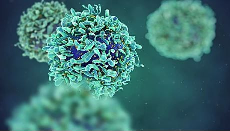 Bugün 153 bin kişi ölecek! - Sayfa 12