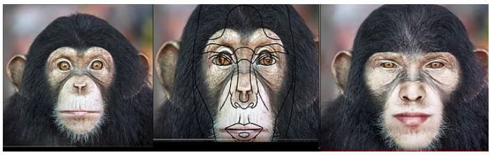 Jennifer Lopez'in bu halini görenler inanamıyor! - Sayfa 16