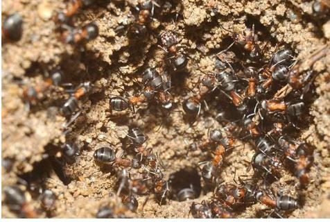 Bugün 153 bin kişi ölecek! - Sayfa 17