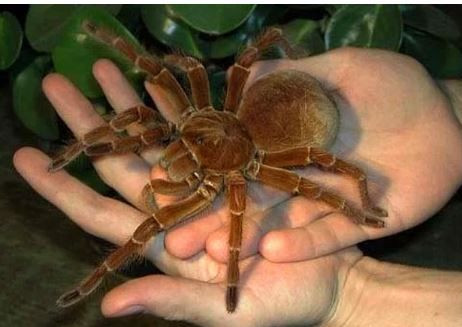 Bugün 153 bin kişi ölecek! - Sayfa 19