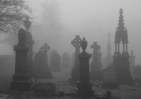 Bugün 153 bin kişi ölecek! - Sayfa 21