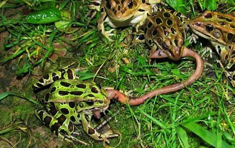 Bugün 153 bin kişi ölecek! - Sayfa 6