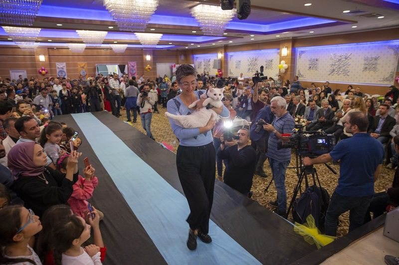 Ankara'da Kedi Güzellik Festivali... - Sayfa 13