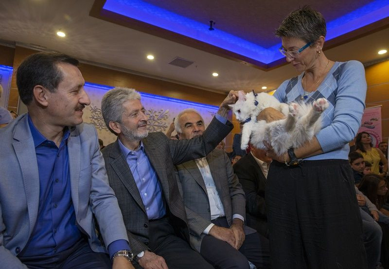 Ankara'da Kedi Güzellik Festivali... - Sayfa 14