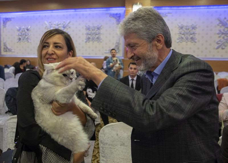 Ankara'da Kedi Güzellik Festivali... - Sayfa 22
