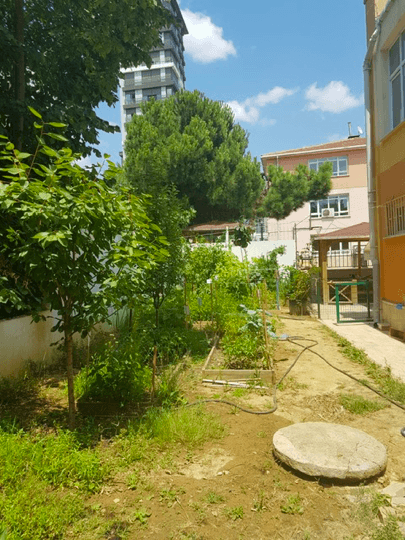 Mezbelelikten yemyeşil bir bahçe çıkardılar! - Sayfa 8