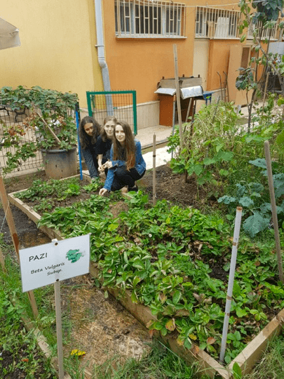 Mezbelelikten yemyeşil bir bahçe çıkardılar! - Sayfa 12