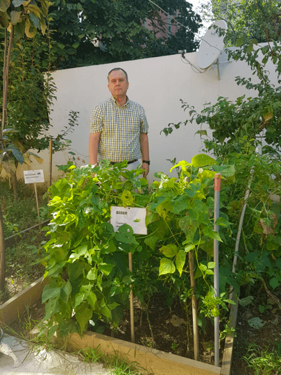 Mezbelelikten yemyeşil bir bahçe çıkardılar! - Sayfa 9